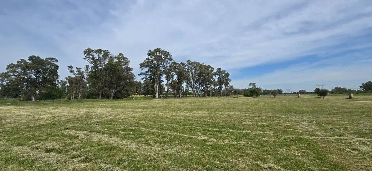 LOTE DE 4300 m² EN SECTOR GOLF VILLA MARÍA 2