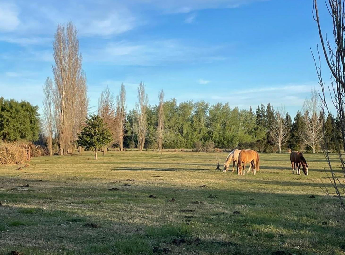 Foto de VENTA LOTE TERRENO LUJAN LAS LILAS CHACRA HARAS, imagen 5
