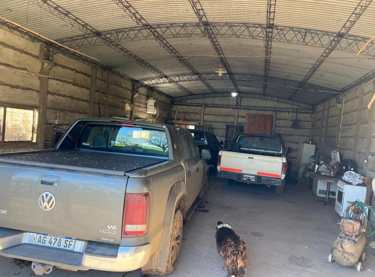 Foto de CAMPO MIXTO EN VENTA 334 HAS, RANCHOS, GENERAL PAZ, imagen 3