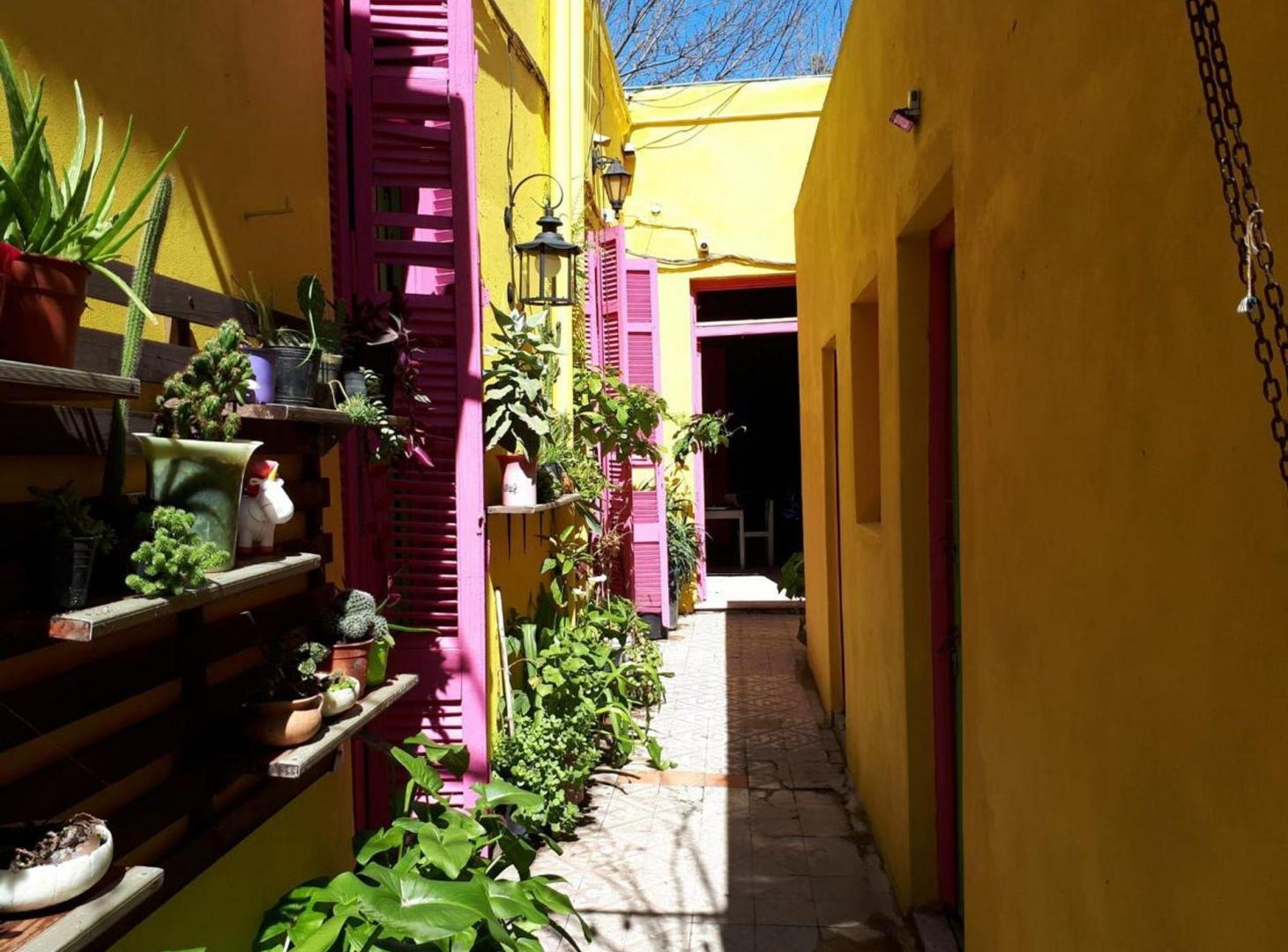 Foto de Venta Lote para Desarrollo o Casa Comercial, imagen 3
