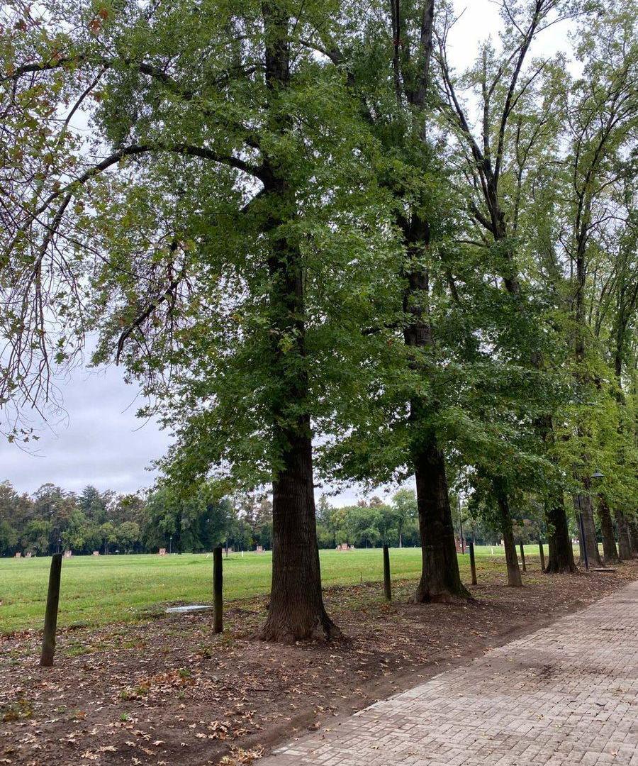 Foto de GRAN OPORTUNIDAD LOTE EN ALMAHUE PILAR, imagen 2