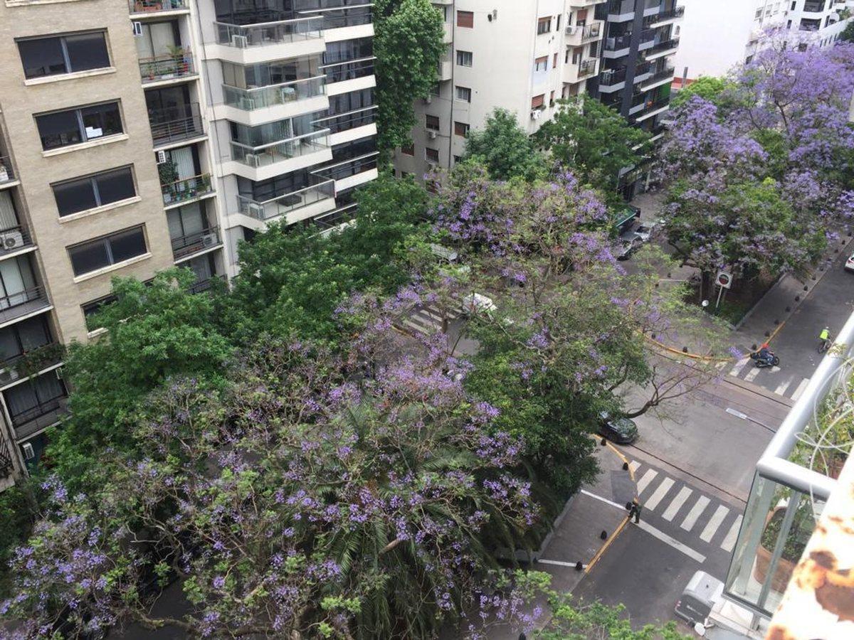 Foto de ALQUILER PALERMO MONOAMBIENTE 42m2 BALCON APTOPROF, imagen 4