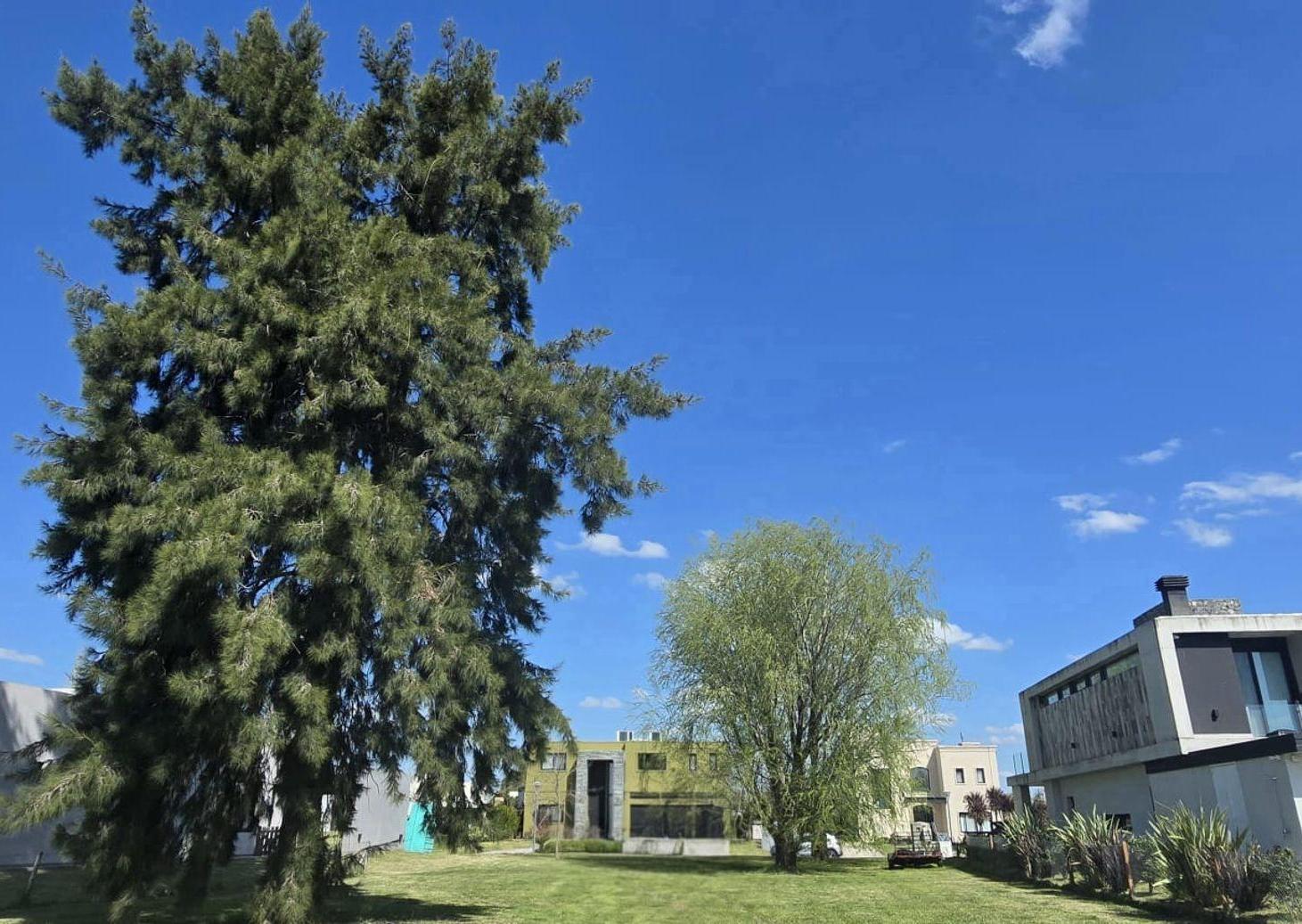 Foto de Lote 620 m² con fondo verde – Terralagos Plaza, imagen 1