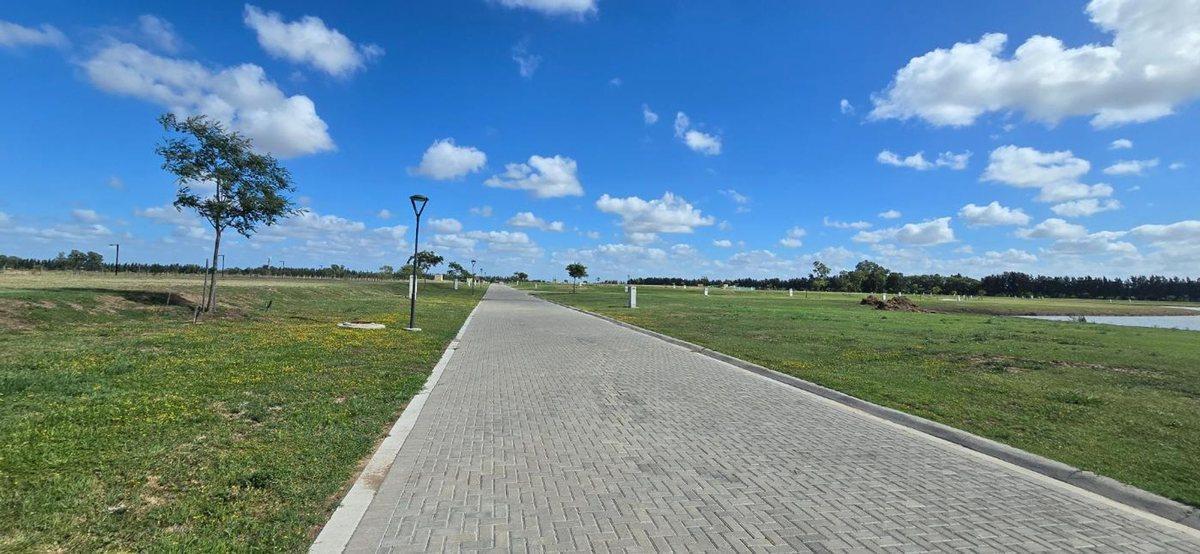 Foto de Lote de 602 m² en Las Victorias - CANNIING, imagen 2
