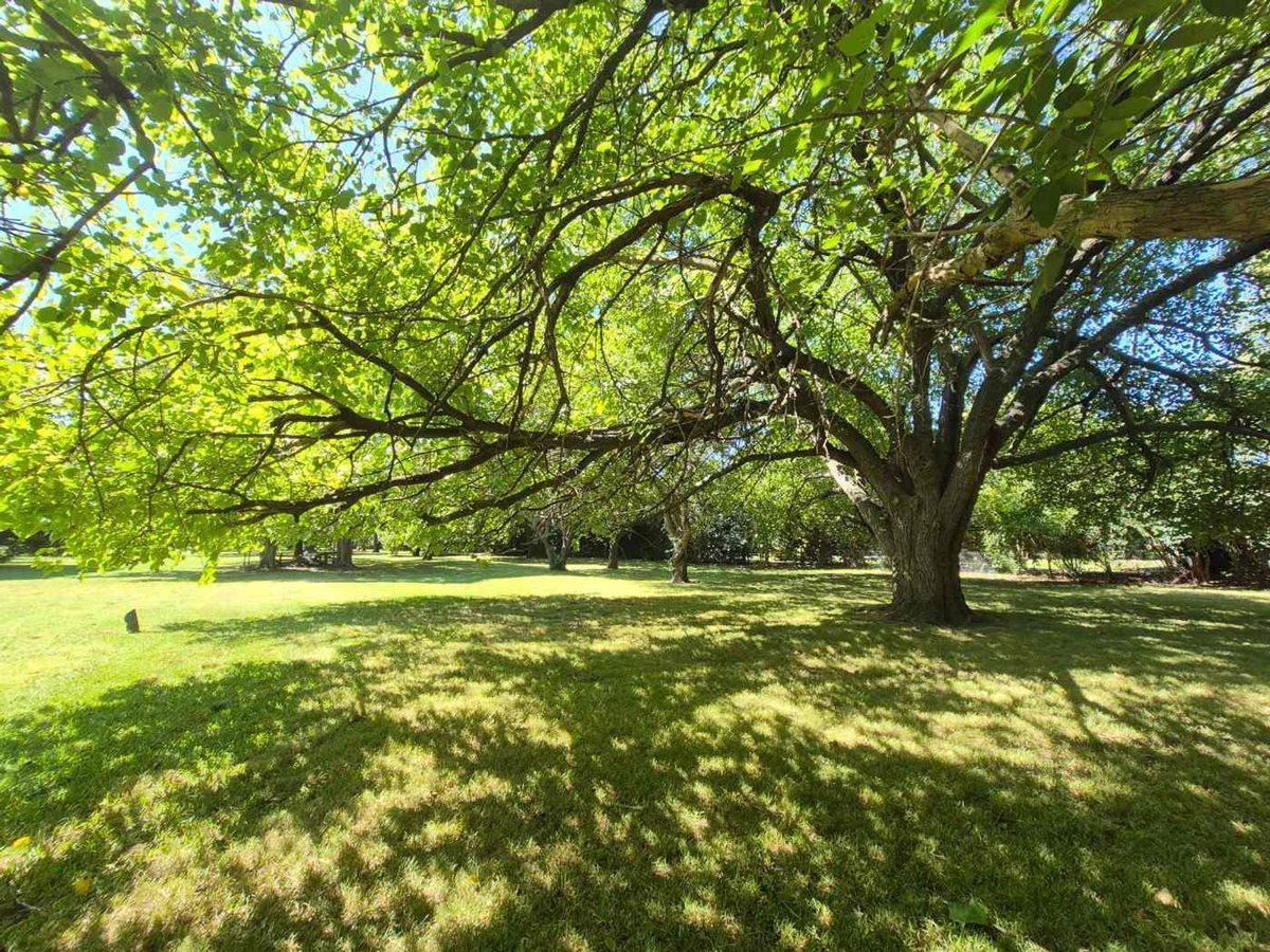Foto de Lote en Club de Campo San Diego (5), imagen 2