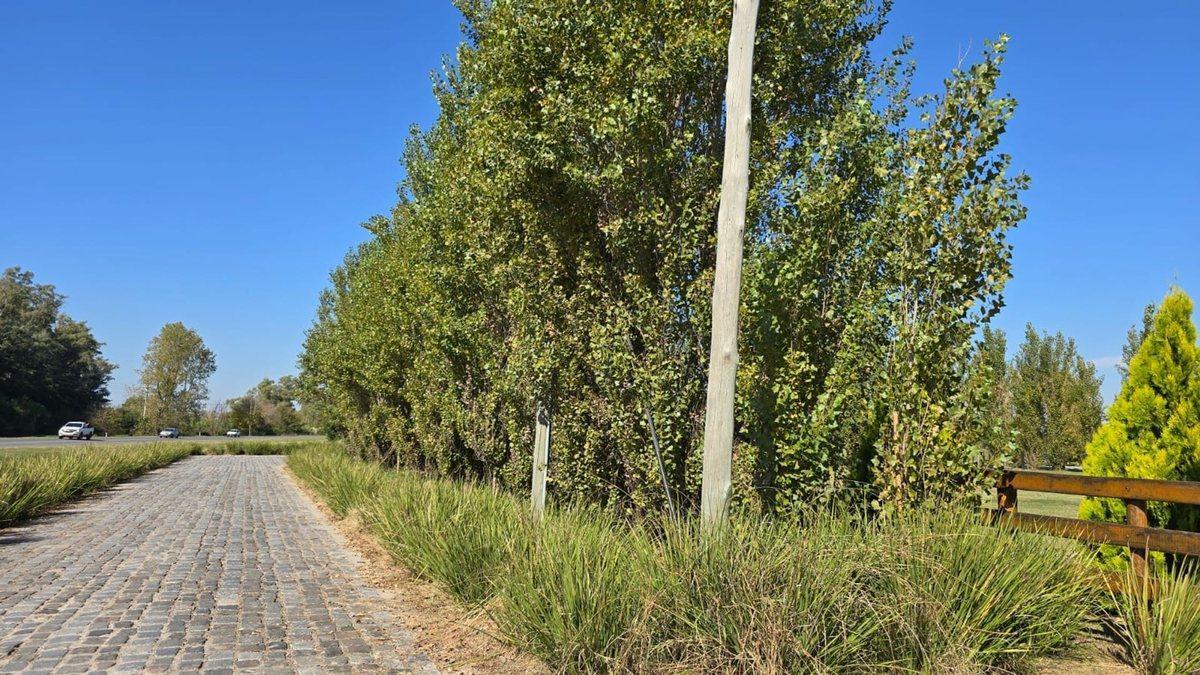 Foto de VENTA CAMPO CHACRA 8HAS CASA OPEN DOOR LAGUNA POLO, imagen 1