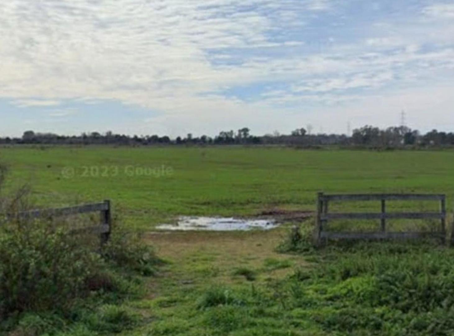 Foto de VENTA CAMPO GRAL RODRIGUEZ 14 HAS POLO, imagen 1