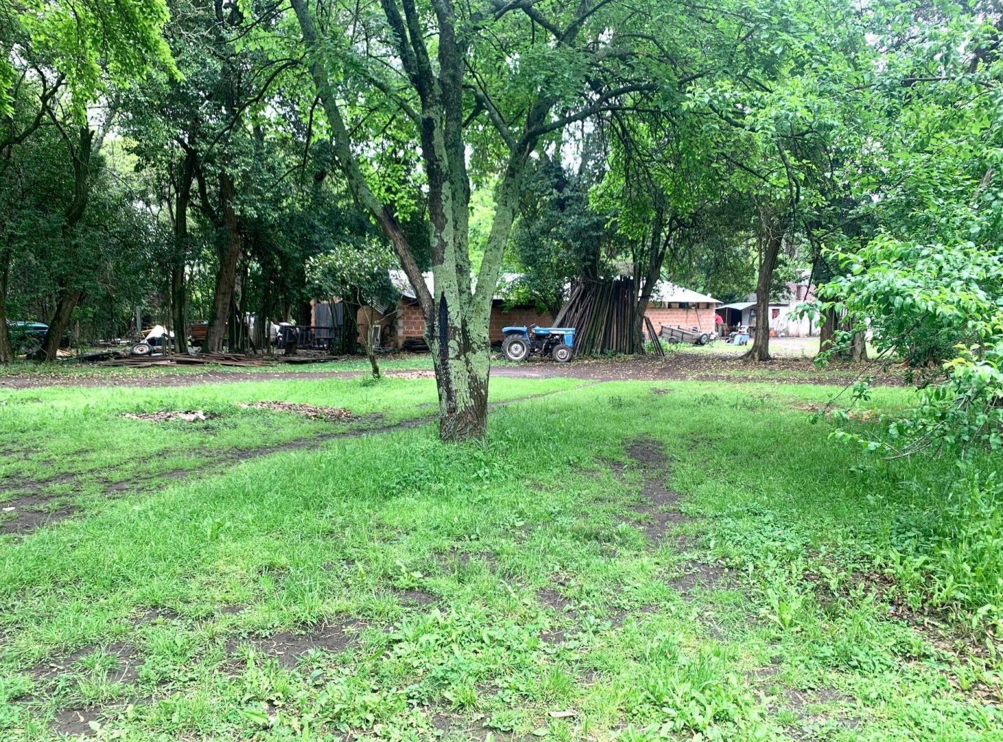 Foto de VENTA O PERMUTA- Chacra de 6 hectareas en Mercedes, imagen 1