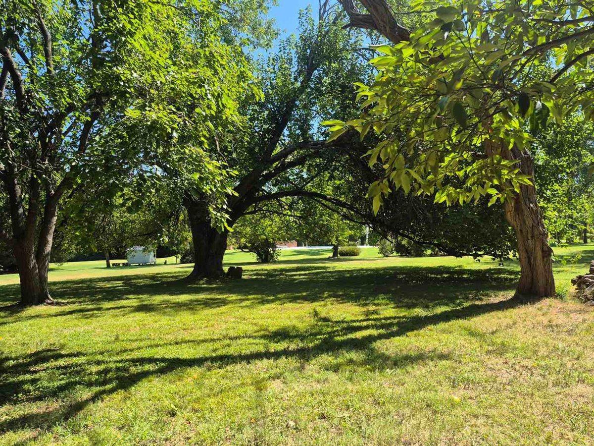 Foto de Lote en Club de Campo San Diego (10), imagen 3