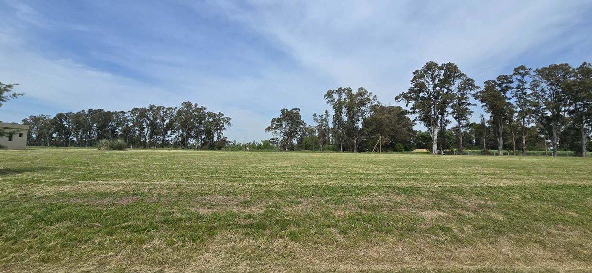 Foto de LOTE DE 4300 m² EN SECTOR GOLF VILLA MARÍA, imagen 5