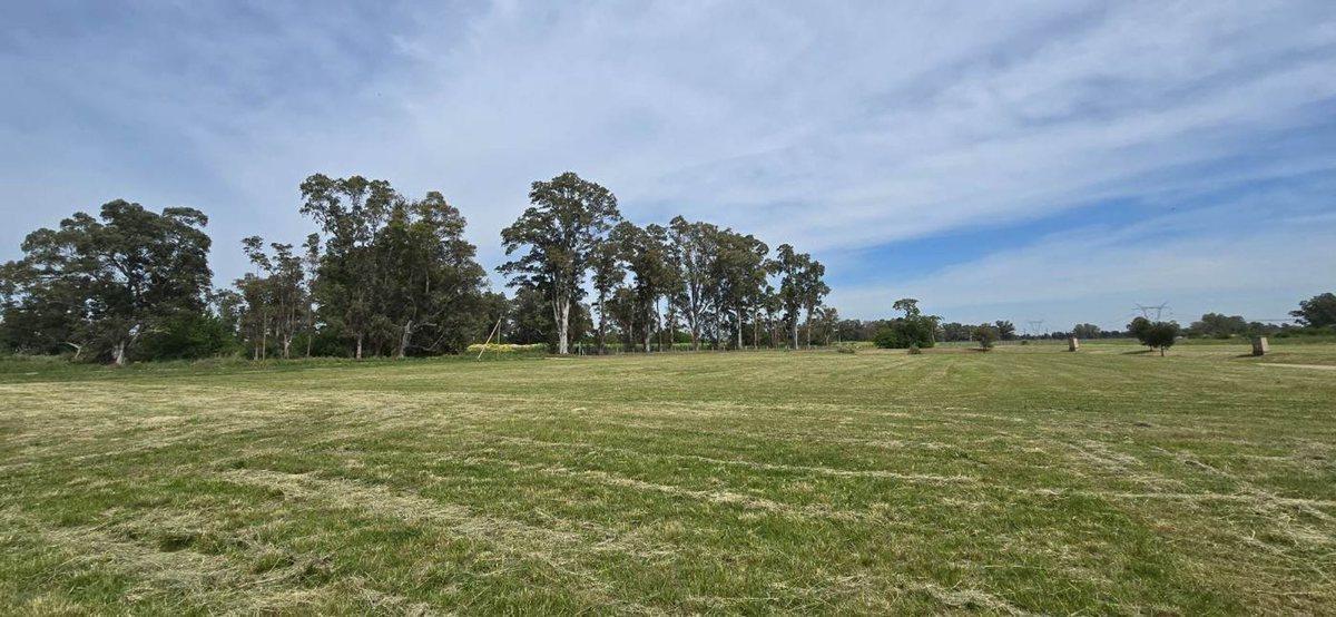 Foto de LOTE DE 4300 m² EN SECTOR GOLF VILLA MARÍA, imagen 3