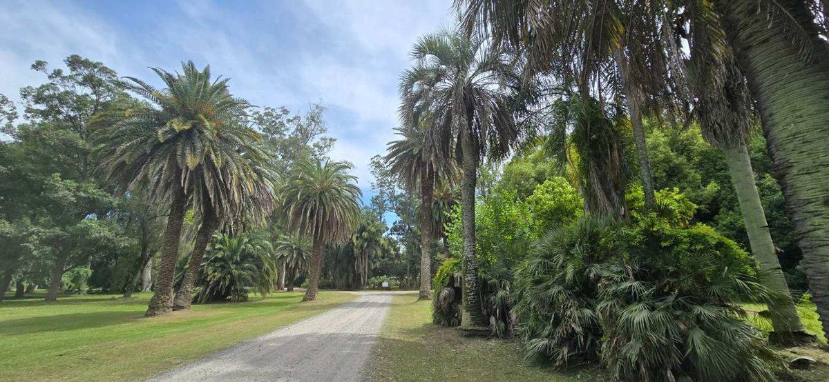 Foto de LOTE DE 4300 m² EN SECTOR GOLF VILLA MARÍA, imagen 2