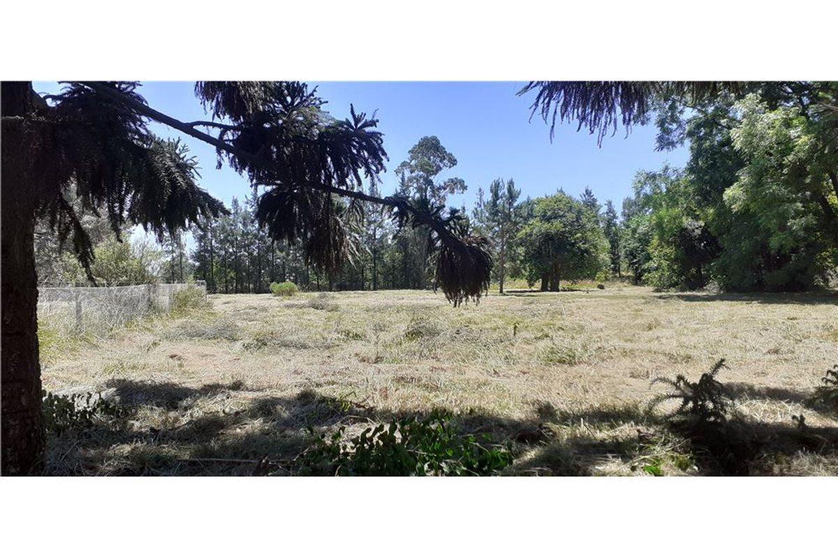 Loteo Camino Panelo - Venta de Terreno en Cañuelas 3