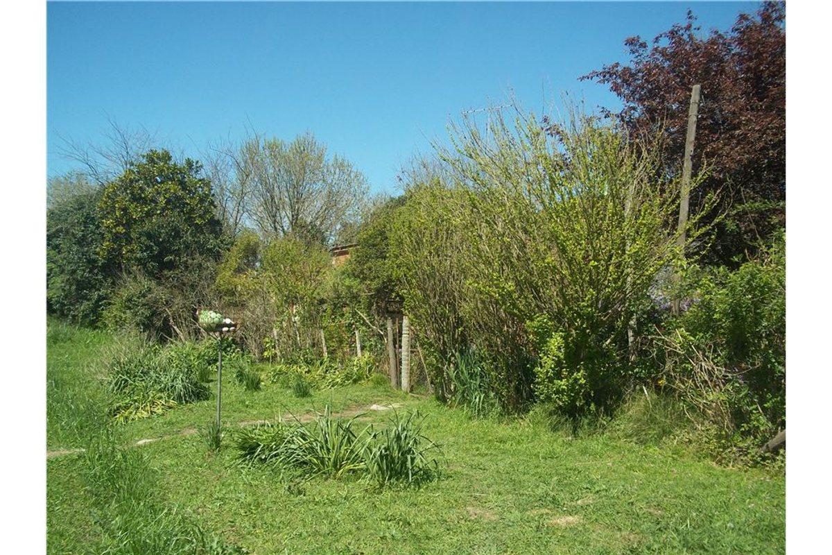 Loteo Camino Panelo - Venta de Terreno en Cañuelas 2