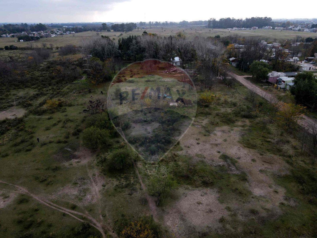 Loteo Camino Panelo - Venta de Terreno en Cañuelas 1