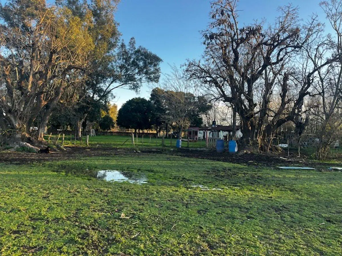 CAMPO DE 4 HECTAREAS OPORTUNIDAD -VICENTE CASARES 2
