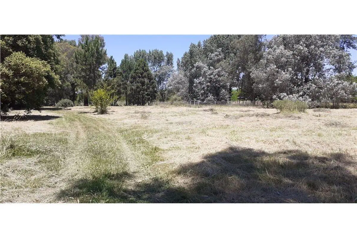 LOTEO CAMINO PANELO - VENTA DE TERRENO EN CAÑUELAS 4