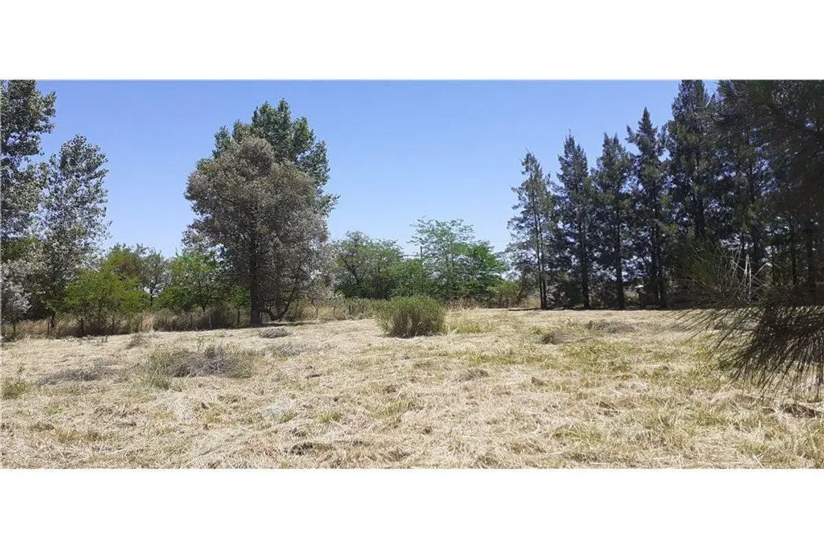 LOTEO CAMINO PANELO - VENTA DE TERRENO EN CAÑUELAS 2