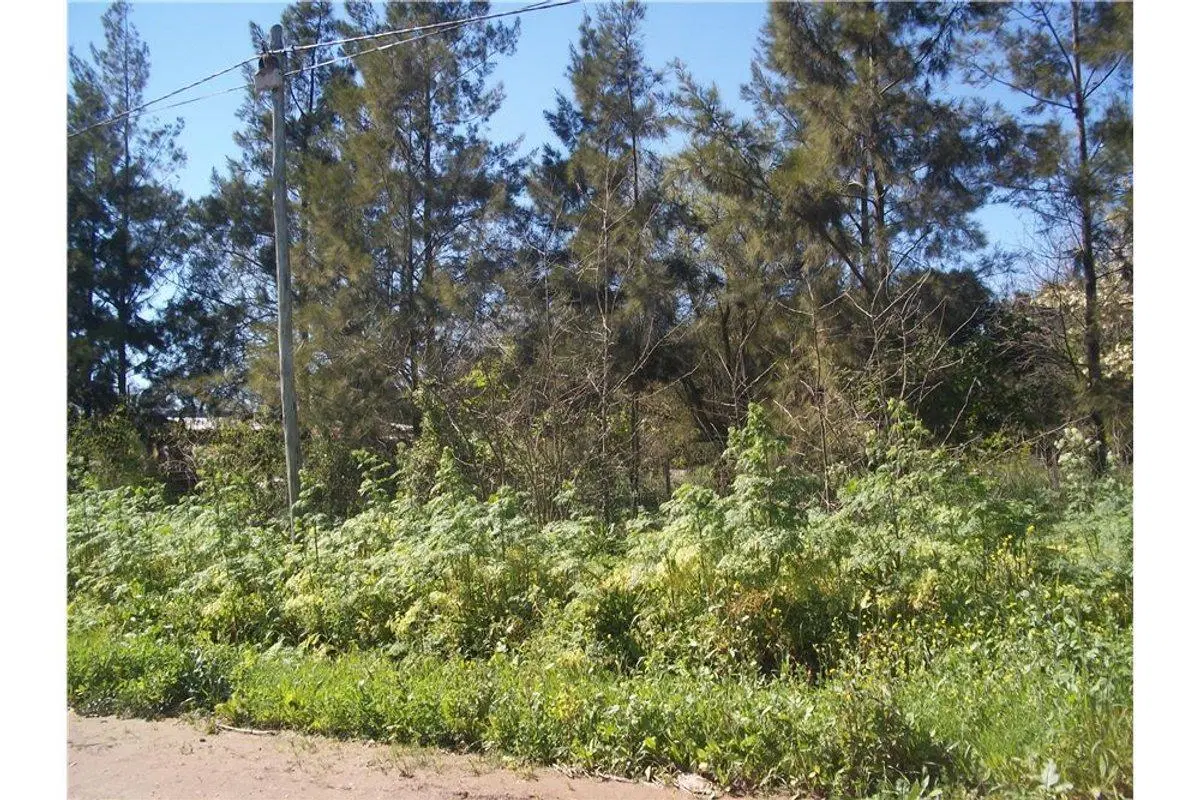 LOTEO CAMINO PANELO - VENTA DE TERRENO EN CAÑUELAS 5