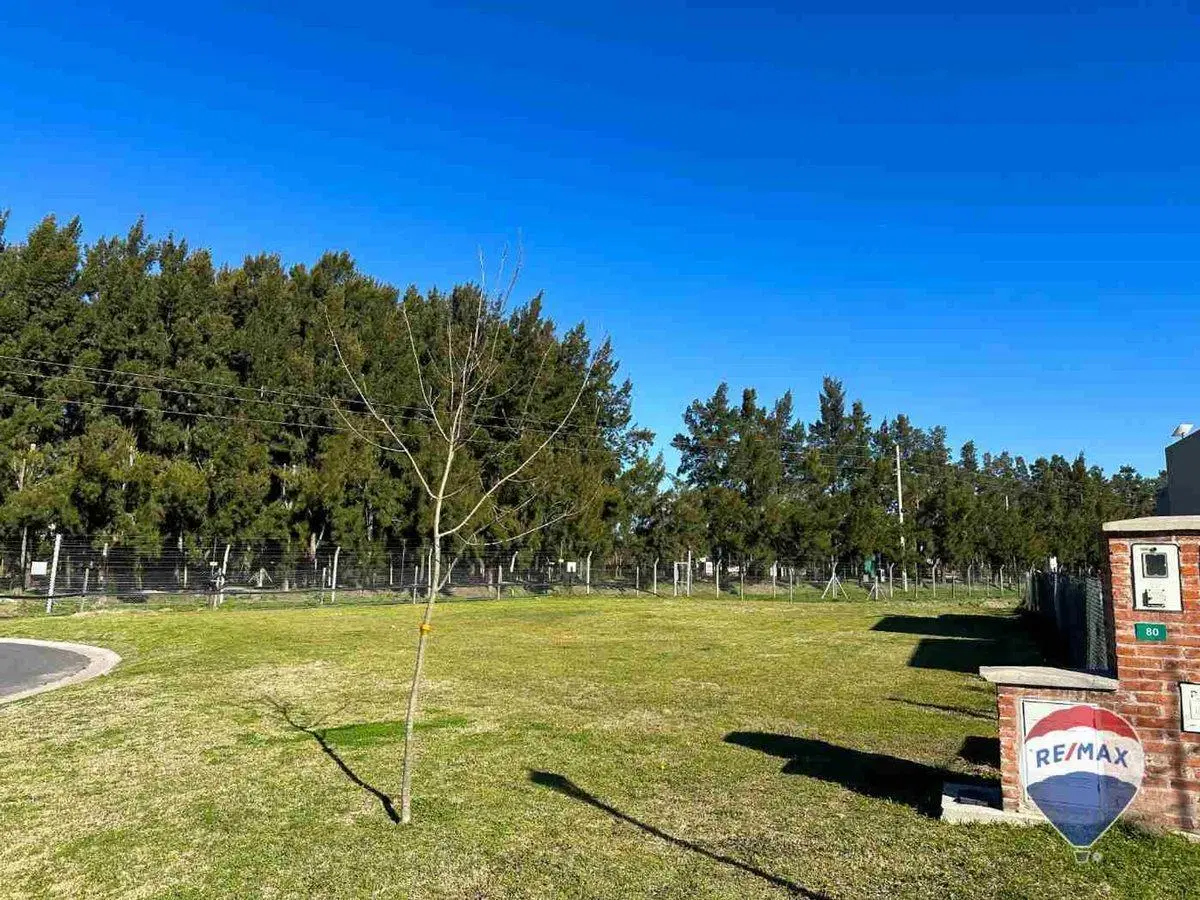 LOTE EN VENTA EN SAN FELIPE CANNING 5