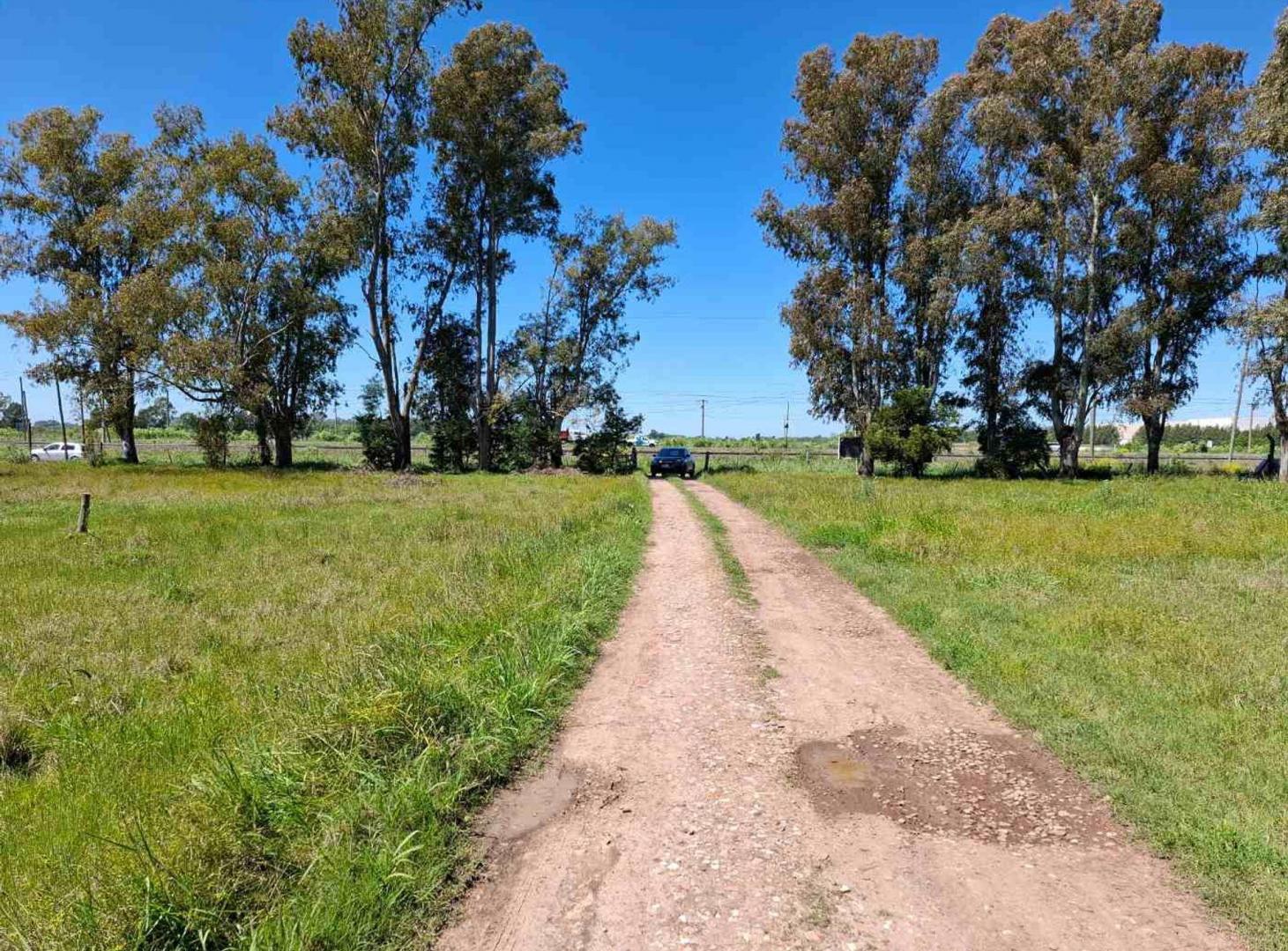 LOTE VENTA CAÑUELAS FRENTE A RUTA 205