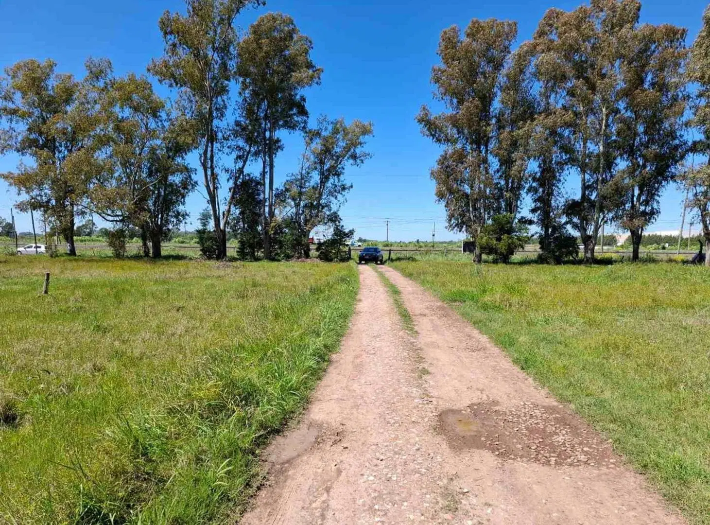 LOTE VENTA CAÑUELAS FRENTE A RUTA 205 2