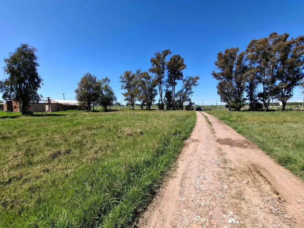 LOTE EN VENTA EN CAÑUELAS 3