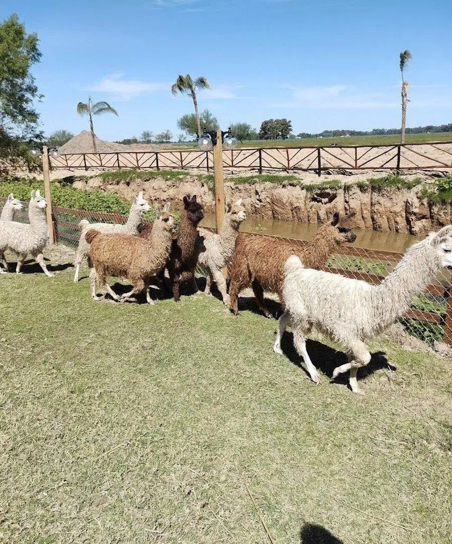 VENTA LOTE EN BARRIO FINCAS DON EUGENIO II 2