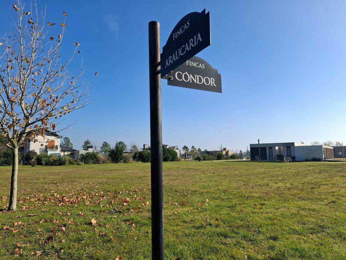 LOTE FINCAS DE SAN VICENTE