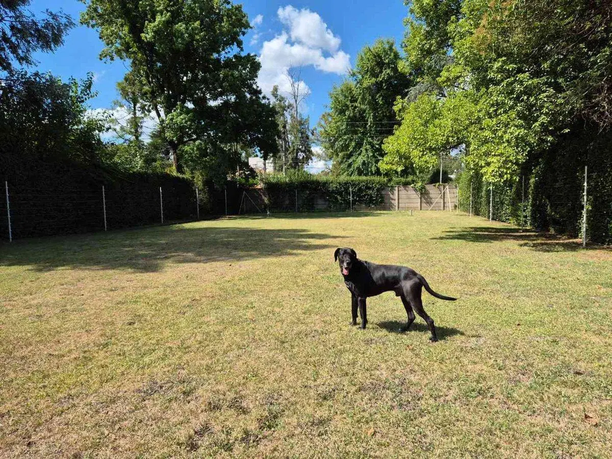 LOTE EN VENTA EL TREBOL MUY BUENA UBICACION 5
