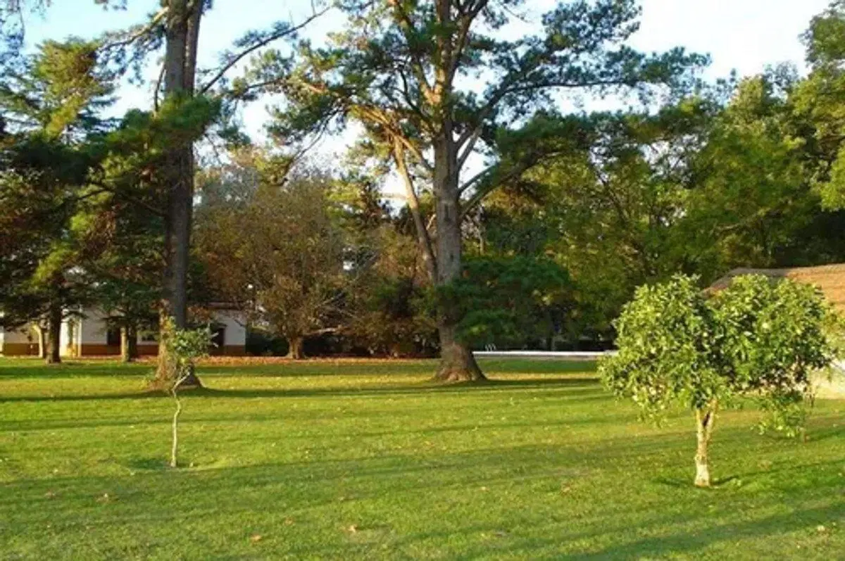 LOTE EN BARRIO CERRADO DAROMY 4