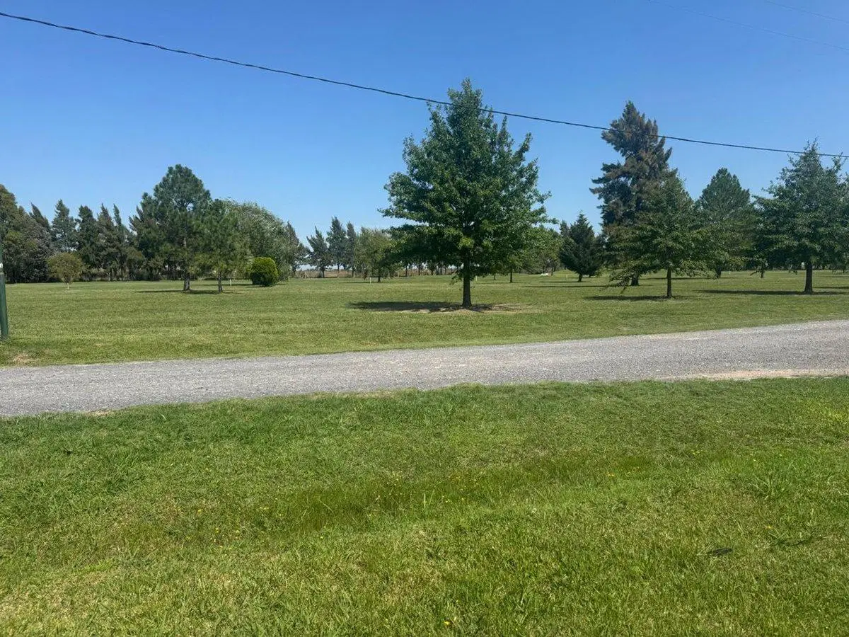 LOTE FINCAS DE SAN VICENTE GOLF 4