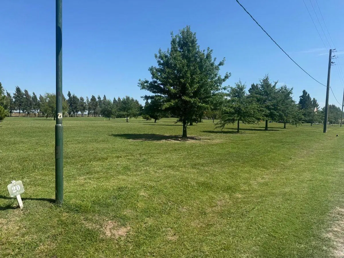 LOTE FINCAS DE SAN VICENTE GOLF 2