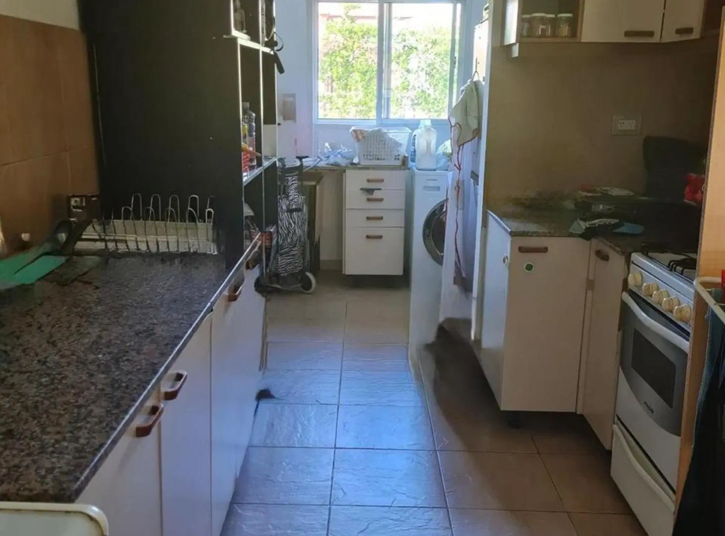 CASA 6 AMBIENTES EN VENTA EN CANNING CON PILETA 4
