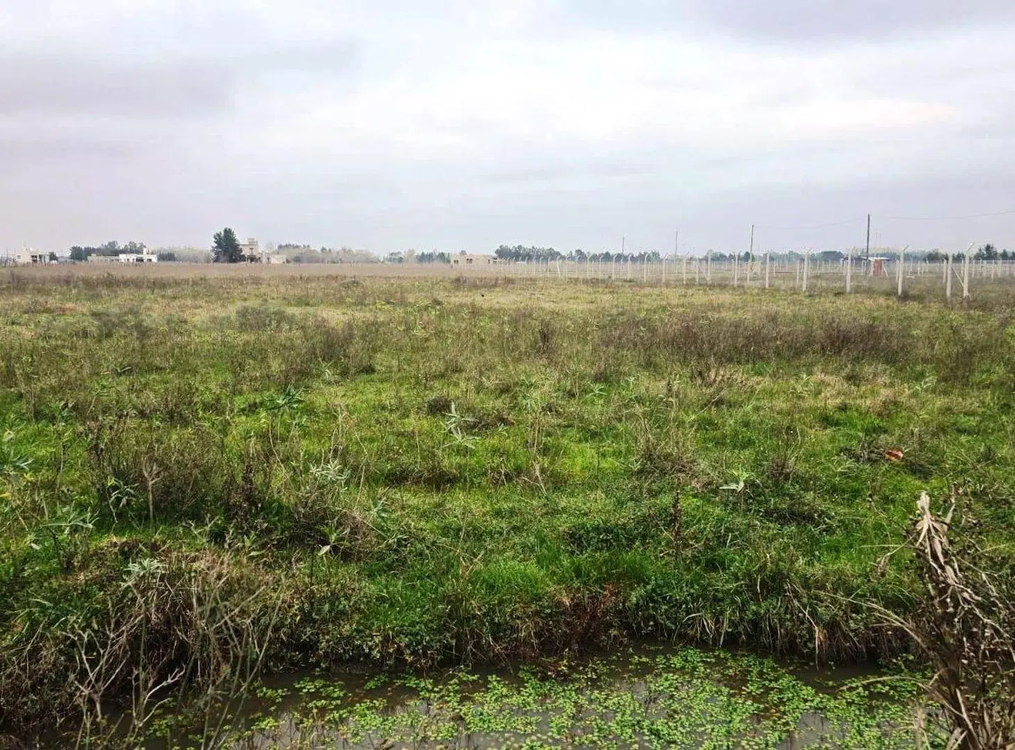 VENTA DE 1.2 HECTAREAS EN CAÑUELAS 2