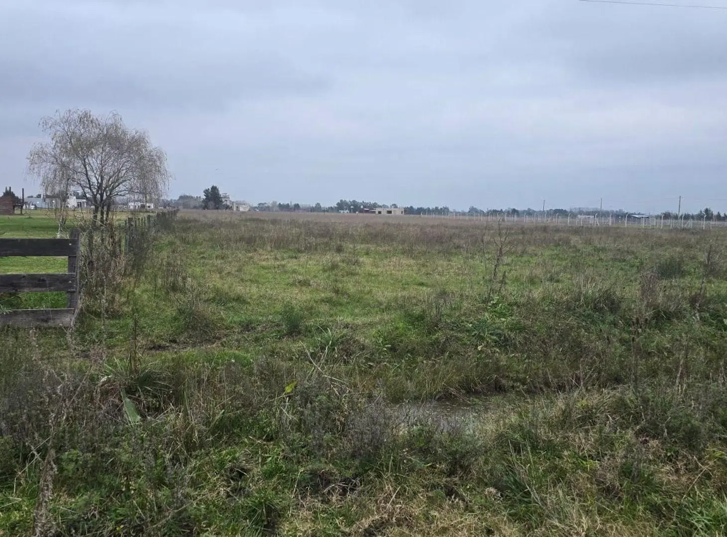 VENTA DE 1.2 HECTAREAS EN CAÑUELAS 3