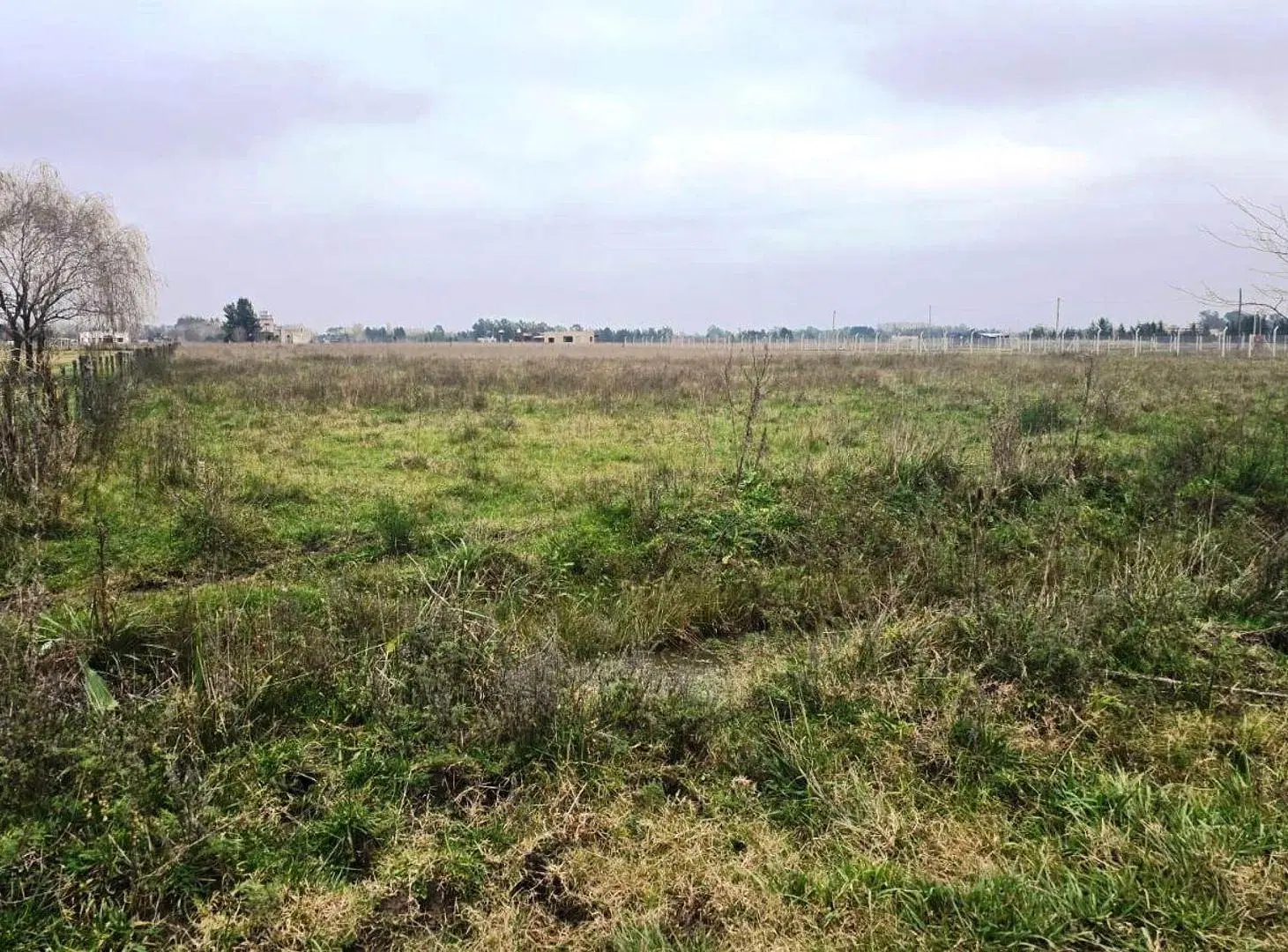 VENTA DE 1.2 HECTAREAS EN CAÑUELAS 5