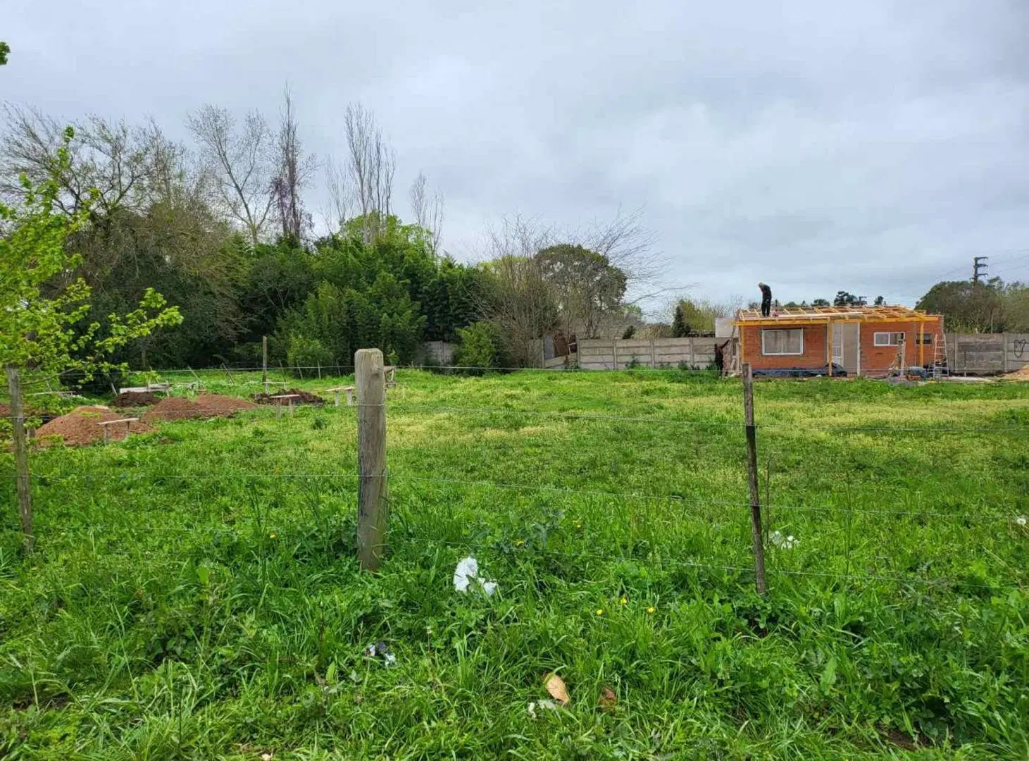 TERRENO EN VENTA EN SAN VICENTE CENTRO 4