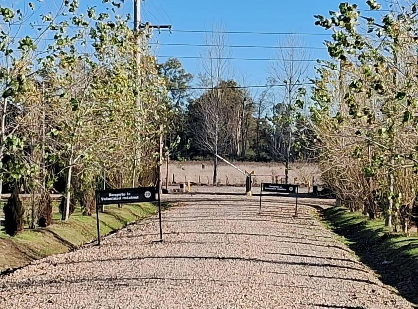 VENTA LOTE ESTILO CAMPO CANNING EZEIZA 5