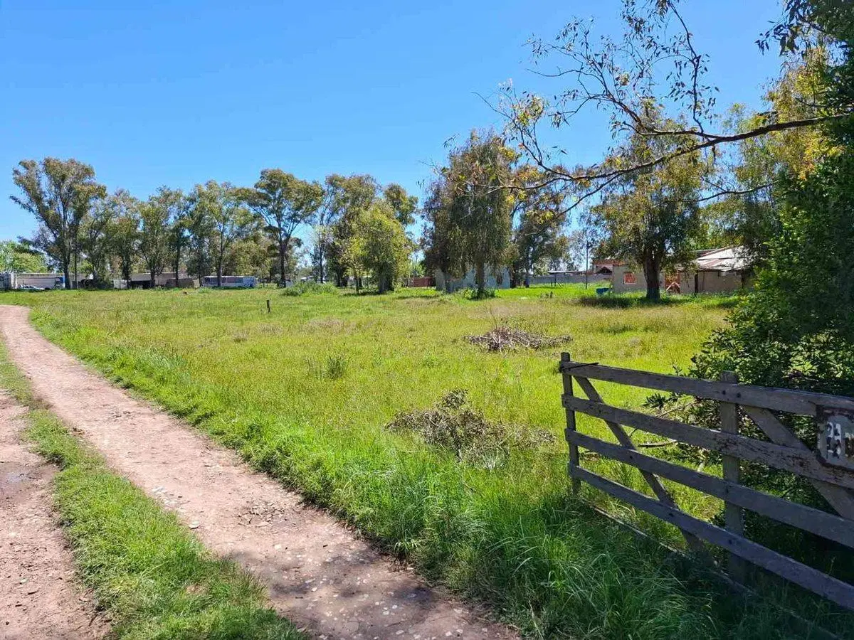 LOTE EN VENTA EN CAÑUELAS 6