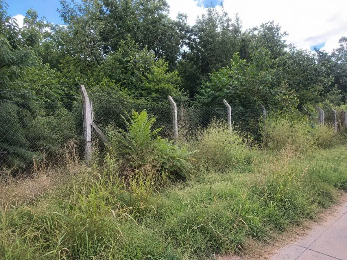 LOTE EN VENTA EN CAÑUELAS 3