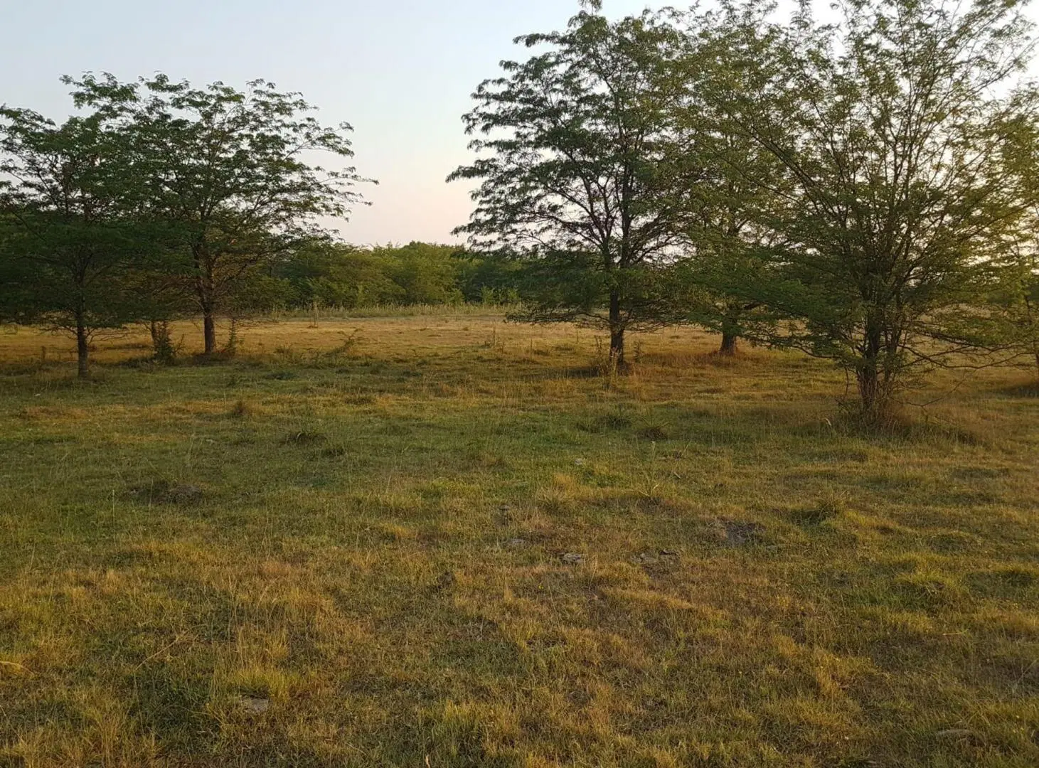 CHACRA de 1,7 hectáreas en Cañuelas 2