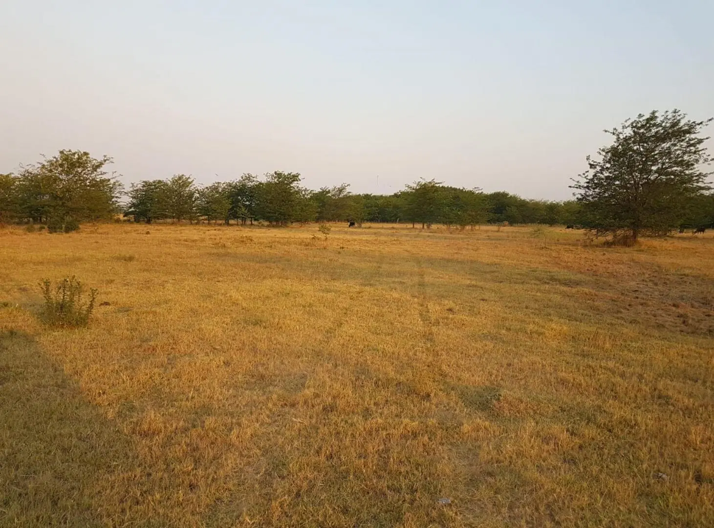 CHACRA de 1,7 hectáreas en Cañuelas 4
