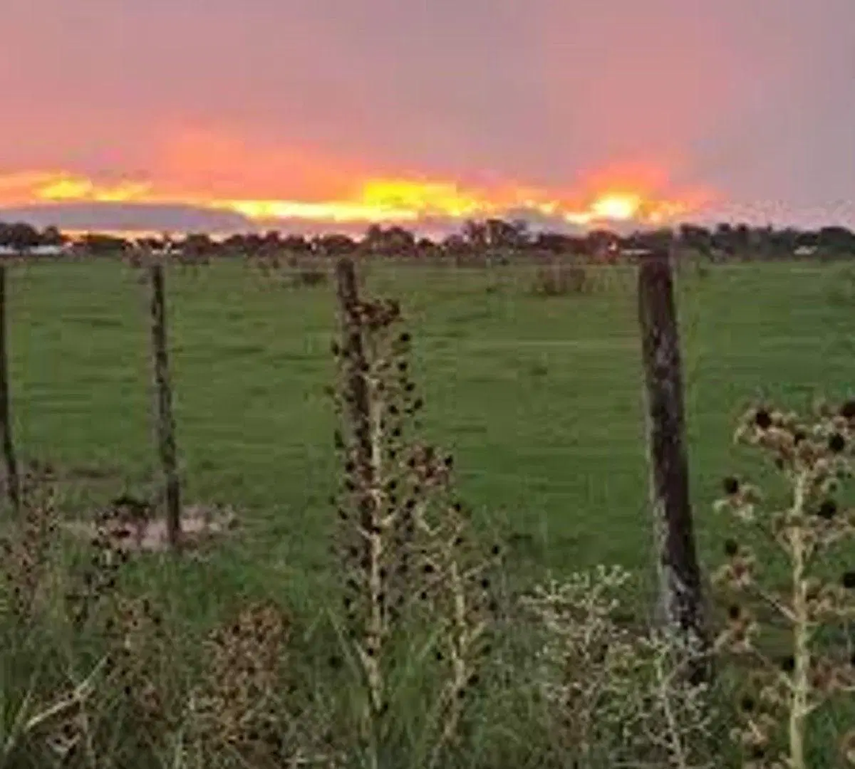 TERRENO EN EL TALADRO CAÑUELAS 5