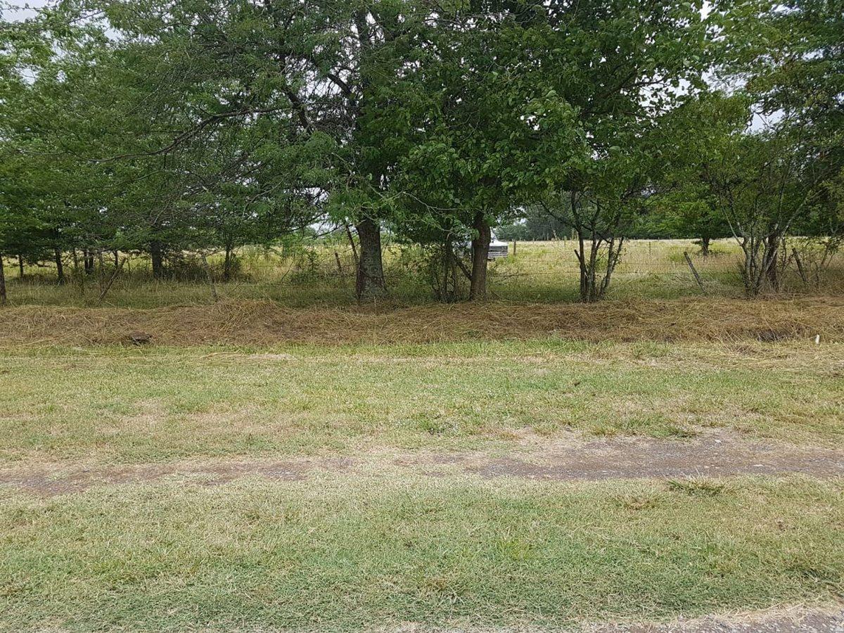 Foto de CHACRA DE 1 HECTAREA EN VENTA EN CAÑUELAS, imagen 5