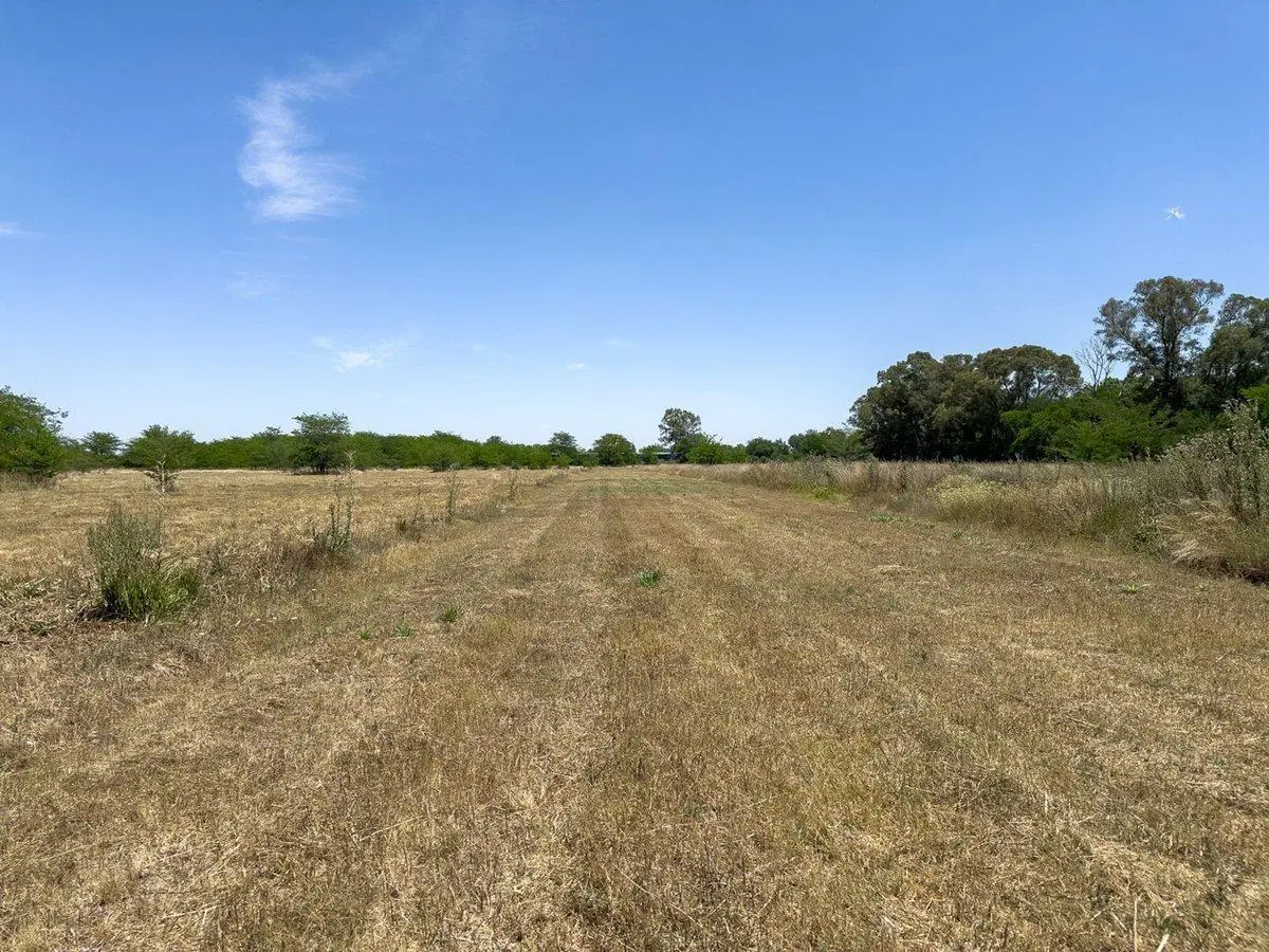 CHACRA DE 1 HECTAREA EN VENTA EN CAÑUELAS 5
