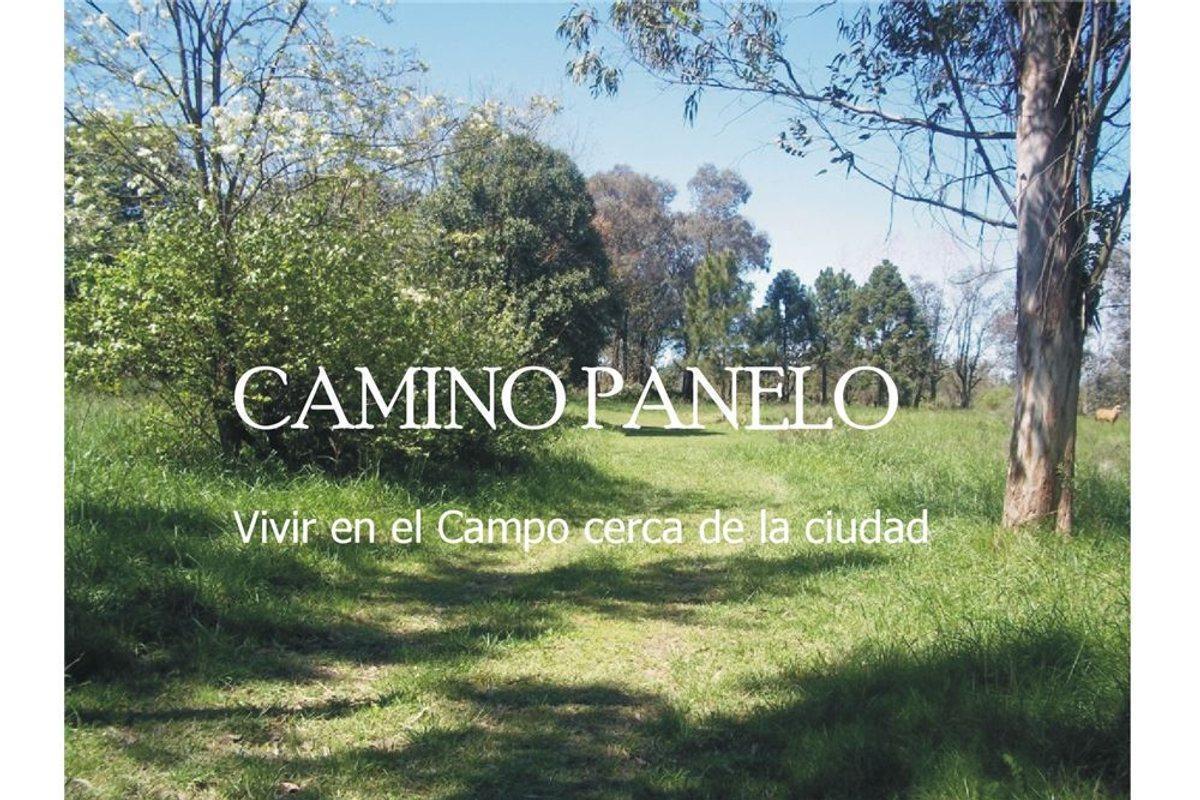 Foto de LOTEO CAMINO PANELO - VENTA DE TERRENO EN CAÑUELAS, imagen 1