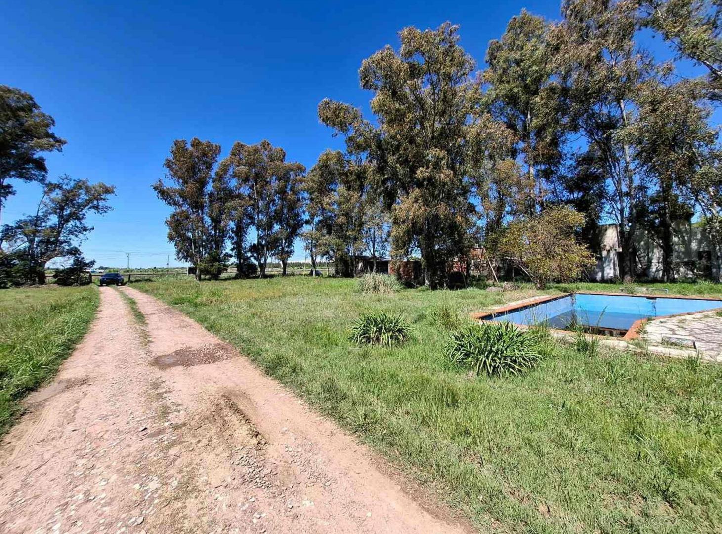Foto de LOTE VENTA CAÑUELAS FRENTE A RUTA 205, imagen 5