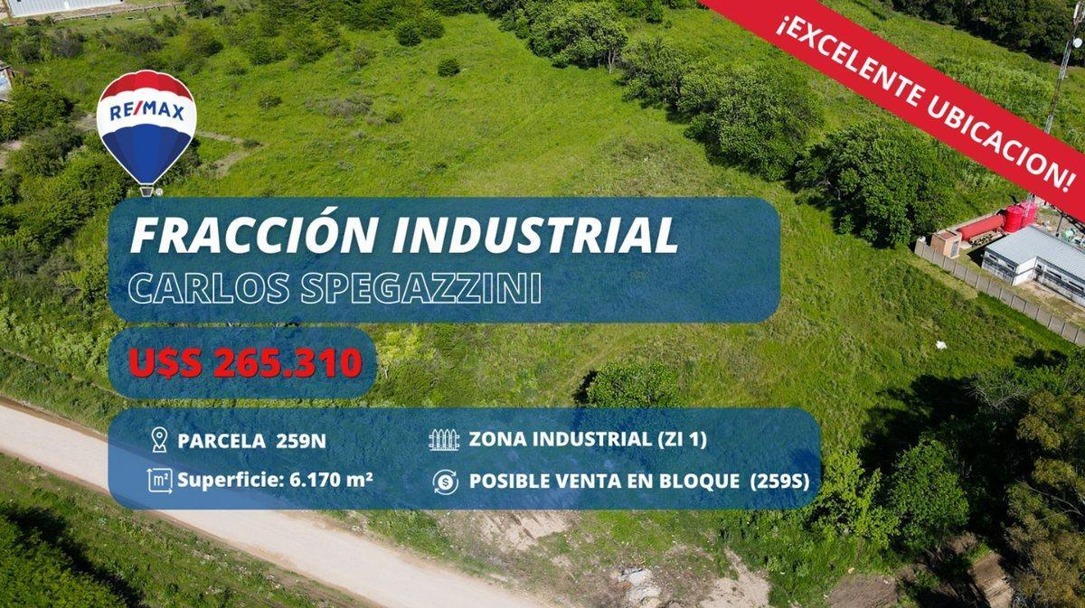 Foto de LOTE EN VENTA EN CARLOS SPEGAZZINI ZONA INDUSTRIAL, imagen 5