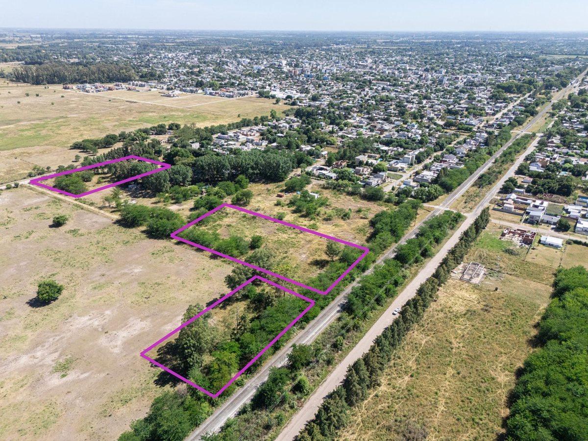 Foto de LOTEO CAMINO PANELO - VENTA DE TERRENO EN CAÑUELAS, imagen 4